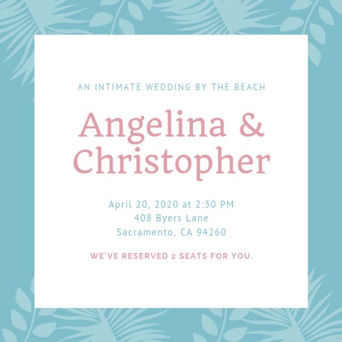 شکوفه های بازیگوش و جذاب شکوفه های بازیگوش و جذاب