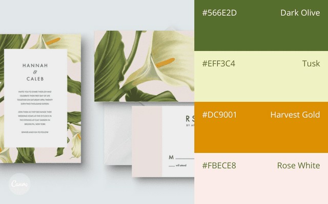 رنگهای تازه و جوان و شاداب رنگهای تازه و جوان و شاداب