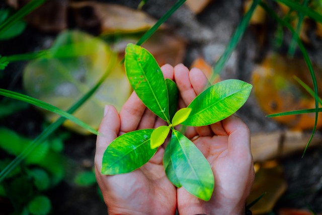 طبیعت و محیط زیست طبیعت و محیط زیست