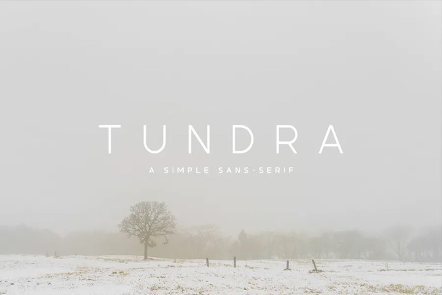 فونت های مینیمالیست