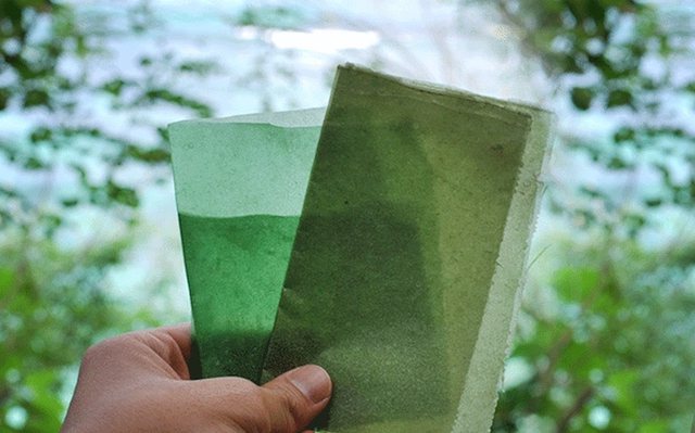 بسته بندی خوراکی